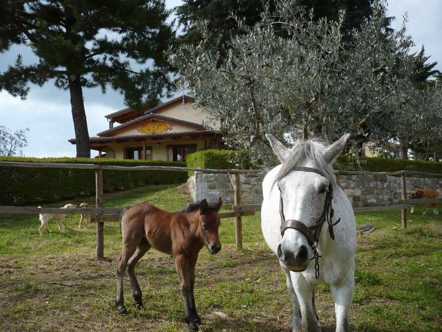 Agriturismo Villa Vea Bellosguardo Buitenkant foto