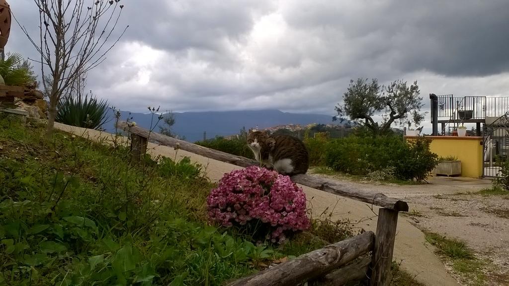 Agriturismo Villa Vea Bellosguardo Buitenkant foto